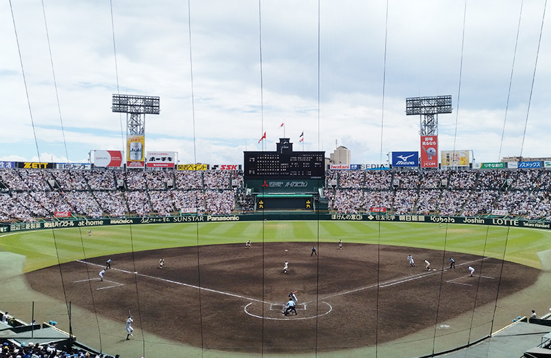 全国高等学校野球選手権大会 8/15 中央指定席中段 1枚 セブンイレブン